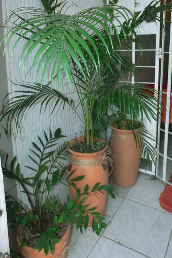 Aconchego Guest house *